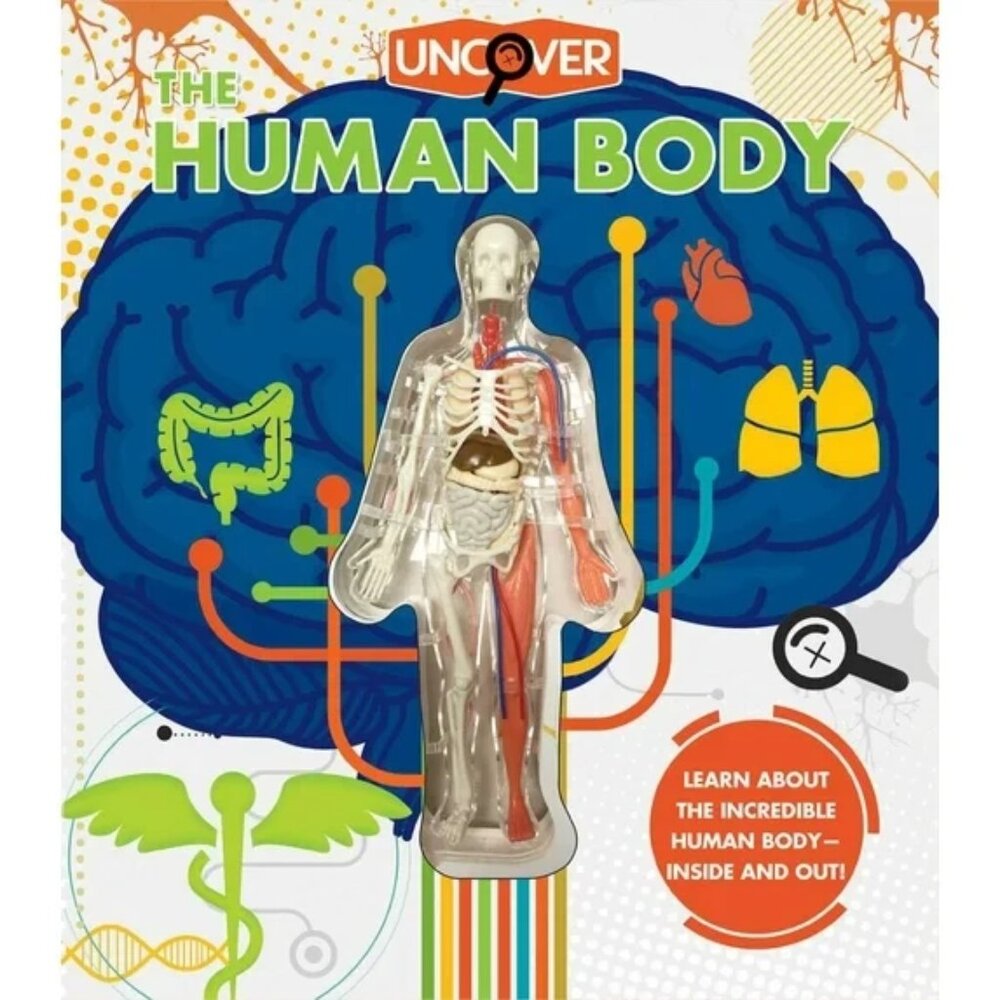 Uncover the Human Body Hard Cover Book - Brand New